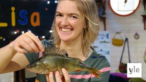 Östersjön och fiskar (S): 25.03.2020 12.39