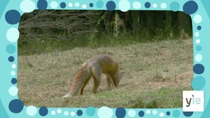 Kettu: 06.03.2020 07.44