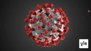 Noin 150 suomalaista joutui karanteeniin koronaviruksen takia: 03.03.2020 10.41