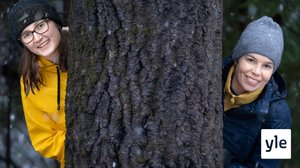 Ilmasto-Jenni: Voiko puita istuttamalla oikeasti hillitä ilmastonmuutosta?: 04.03.2020 11.33