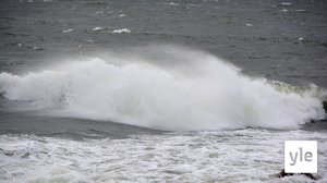 Svenska Yle live: Hur mycket stormar det just nu i Helsingfors?: 04.03.2020 13.56