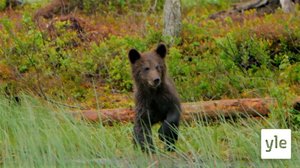 Peärnai škooulpeiʹvv (S): 09.03.2020 00.00