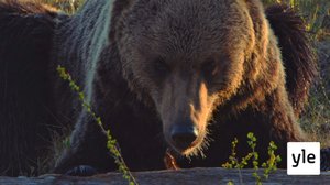 Kamppâr peittäʹšš (S): 09.03.2020 00.00