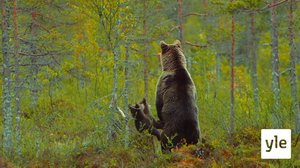 Meeci immâšeh (S): 09.03.2020 00.00