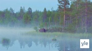 Suâlnokjääura suäjjla (S): 09.03.2020 00.00