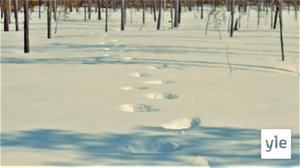 Luodah muottust (S): 09.03.2020 00.00