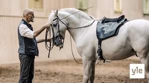 Hevoskommunikaatiota: 10.03.2020 11.30