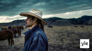 Villit mustangit: 10.03.2020 11.30