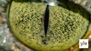 Meri: 14.03.2020 06.00