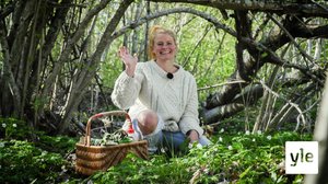 Syö eettisesti, ekologisesti, taloudellisesti ja terveellisesti: 15.03.2020 00.01