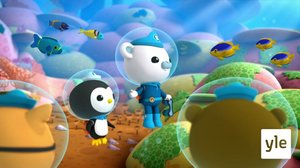 Oktonautit ja koralliahvenet (S): 15.03.2020 08.06