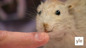 Djurs tänder: 19.03.2020 06.15