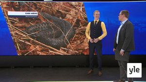 Sääkeskustelu: 14.03.2020 09.53