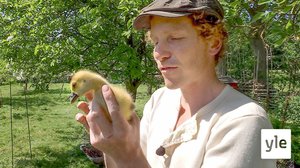 Kevät ja aurinko tuovat Frankin tilalle vipinää: 19.03.2020 18.30