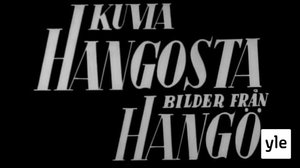 Arkistokuvia: Kuvia Hangosta (S) (S): 16.03.2020 00.00