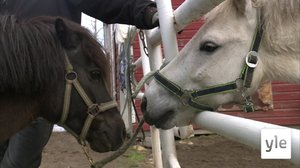 Mimmin ystävät: 19.03.2020 10.00