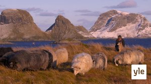 Elämää meren armoilla: 22.03.2020 06.00