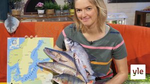 BUU-klubben: 23.03.2020 18.00