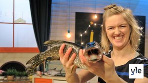 BUU-klubben: 26.03.2020 18.00