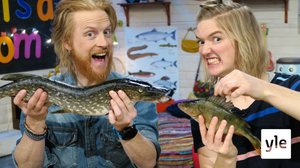 BUU-klubben: 27.03.2020 18.00