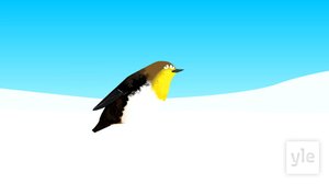 Sä'ppli (S): 24.03.2020 19.00