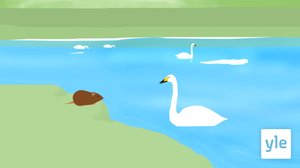 Sä'ppli (S): 24.03.2020 19.15