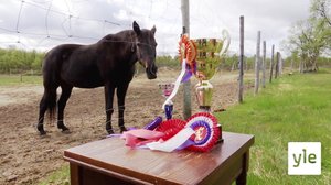 Heäpˈpši peiʹvv (S): 31.03.2020 00.00