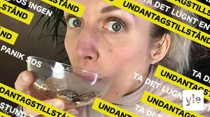 Romans på distans - gruppchattar är grejen: 03.04.2020 08.00