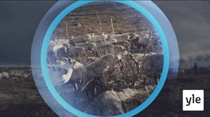 Oddasat: 31.03.2020 22.00