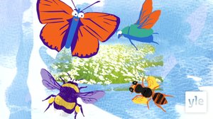 Pelasta pörriäinen: 01.04.2020 00.01