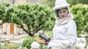 Mehiläiskuningatar (7): 07.04.2020 06.00