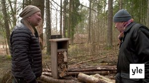 Juhat luonnossa: Ötököiden jättikodit: 03.04.2020 15.45