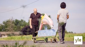 Vanha delfiini: 09.04.2020 06.00