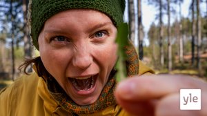 Vilka vilda grönsaker hittar du?: 09.04.2020 08.00