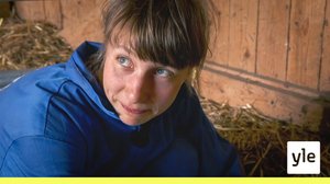 Työvoittoja: 13.04.2020 00.01