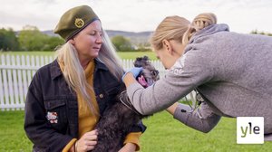 Koiraperheet käytöskoulussa: 14.04.2020 06.00