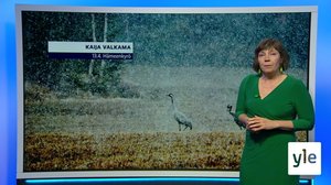 Sääennuste klo 18.00 (S): 13.04.2020 18.15