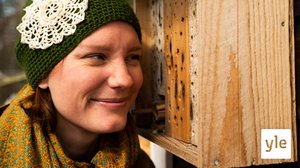 Kika in i pollinerarnas värld: vad ser du?: 17.04.2020 08.00