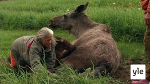 Luontoretkellä: 20.04.2020 06.00