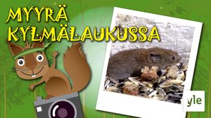 Myyrä kylmälaukussa: 22.04.2020 10.00