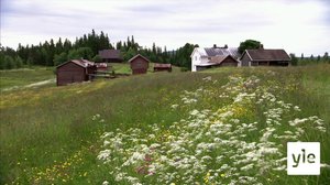 Tiettömän taipaleen takana: 22.04.2020 10.00