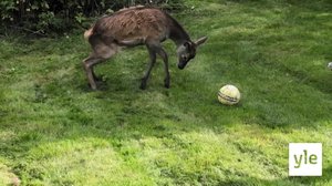 Luontoretkellä: 20.04.2020 06.00