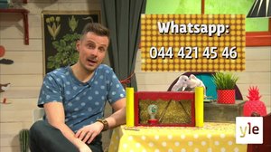 Triangelns show: 03.05.2020 07.15