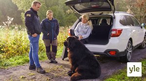 Koiraperheet käytöskoulussa: 21.04.2020 06.00