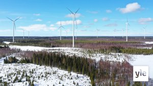 Suomalaistutkimus: infraääni ei ole tuulivoiman koettujen terveyshaittojen syynä: 21.04.2020 11.17