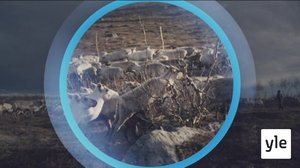 Oddasat: 21.04.2020 22.00