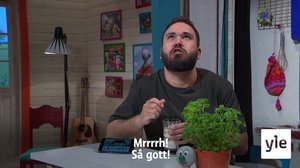 BUU-tips med Emil (S): 24.04.2020 07.00