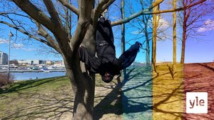 Skyll inte på fladdermusen: 23.04.2020 16.30