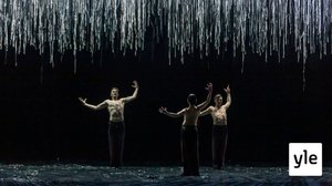 Lonesome George: 26.04.2020 00.01