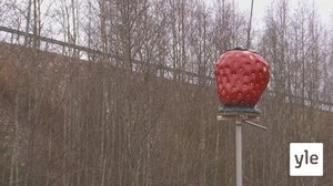 Tervetuloa mansikkapellolle!: 27.04.2020 20.00